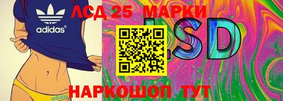 шишки Нарткала