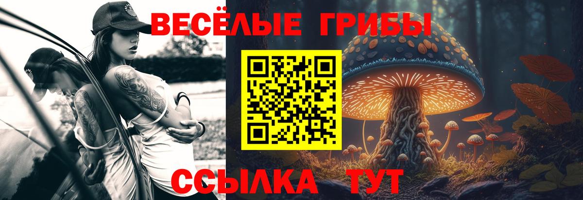Псилоцибиновые грибы Cubensis Соликамск