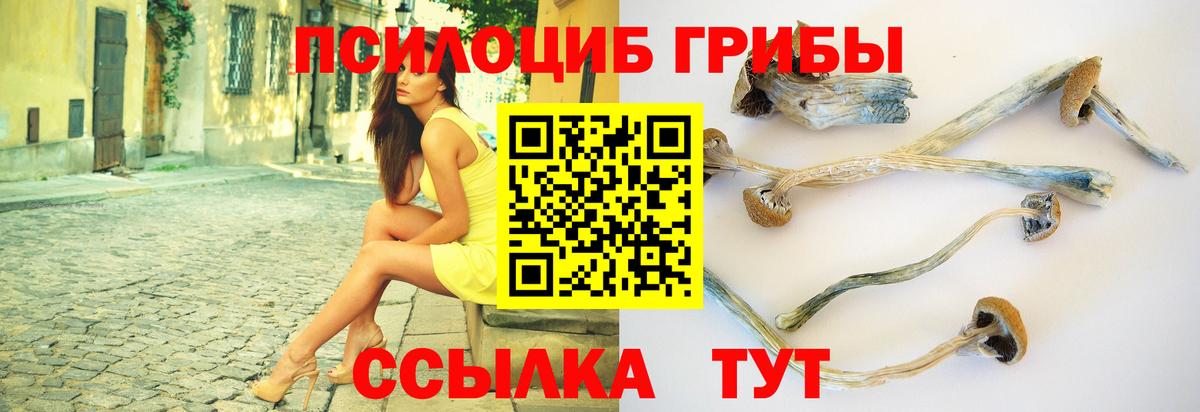 Соликамск  Галлюциногенные грибы Psilocybe  Вход с VPN 