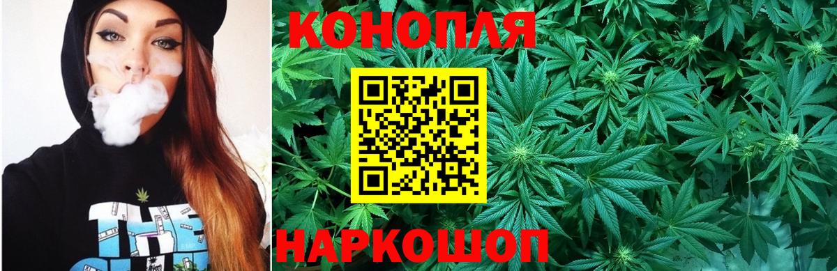 Шишки марихуана планчик Соликамск